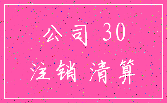 公司 30_注销 清算