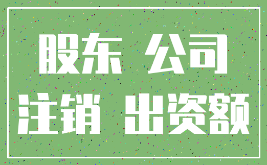 股东 公司_注销 出资额