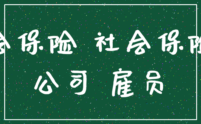 社会保险 社会保险费_公司 雇员