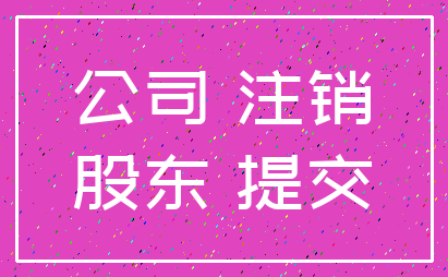 公司 注销_股东 提交