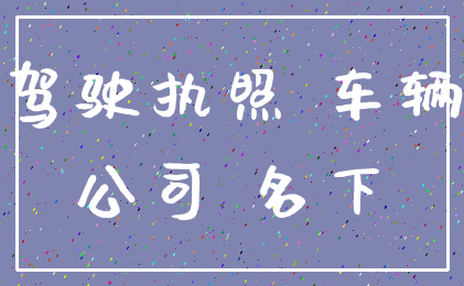 驾驶执照 车辆_公司 名下