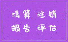 公司注销资产评估报告