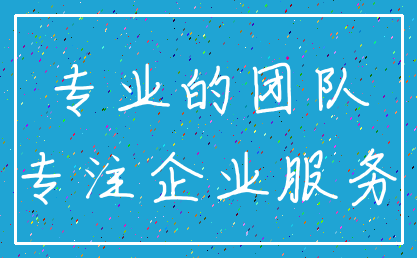 专业的团队_专注企业服务