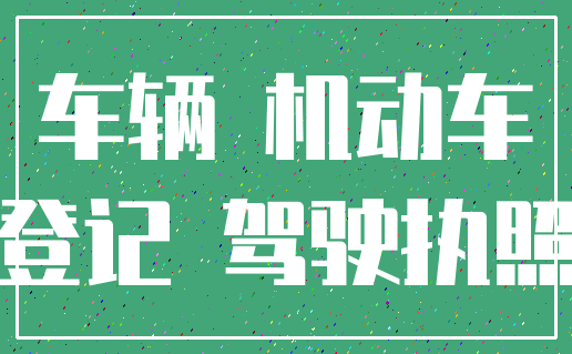 车辆 机动车_登记 驾驶执照