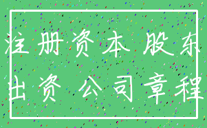 注册资本 股东_出资 公司章程