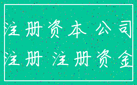 注册资本 公司_注册 注册资金