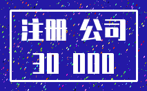 注册 公司_30 000