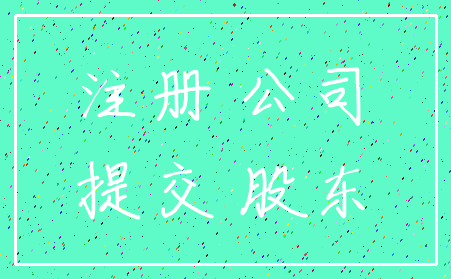 注册 公司_提交 股东