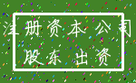 注册资本 公司_股东 出资