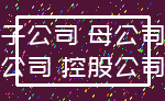 子公司 母公司_公司 控股公司
