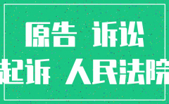公司被注销了驳回起诉吗