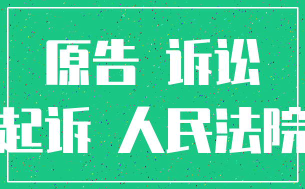 原告 诉讼_起诉 人民法院
