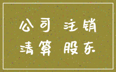公司股东不注销公司