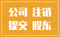 有限责任公司股东 公司未注销