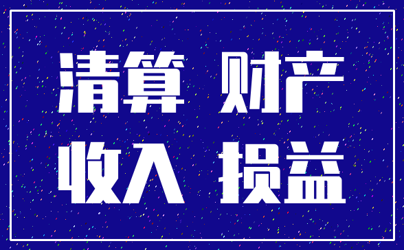 清算 财产_收入 损益