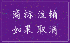 有商标的公司注销