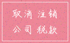 公职人员开公司注销报告