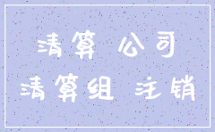 有限责任公司注销土地