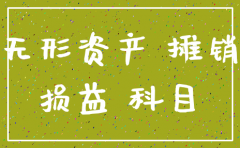 无形资产处置 公司注销