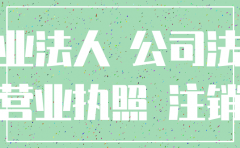 非法注销公司的法律责任