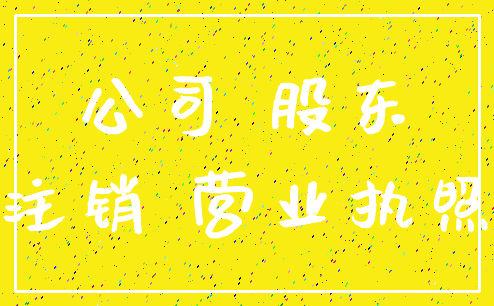公司 股东_注销 营业执照