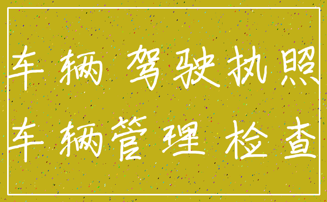 车辆 驾驶执照_车辆管理 检查