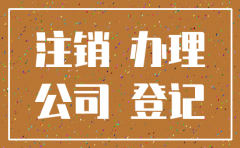 公司账本丢了申请注销