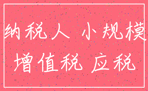 纳税人 小规模_增值税 应税