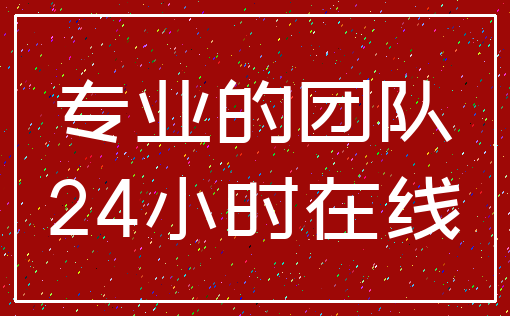 专业的团队_24小时在线