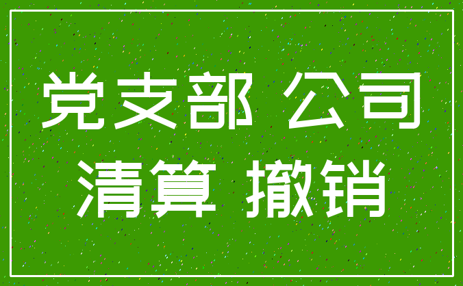党支部 公司_清算 撤销