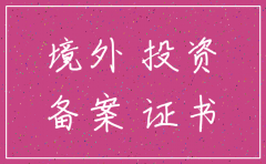 企业境外投资公司注销流程