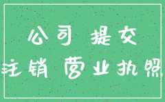 未开户未申报的公司进行注销