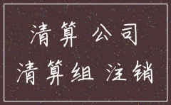 注销公司资产总额怎么填写