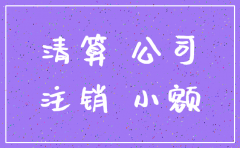 小额贷款有限公司注销