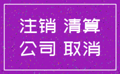 公司注销服务申请报告