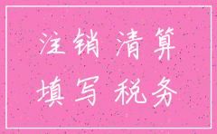 公司注销税局清算表怎么填