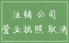 公司注销名下车牌号