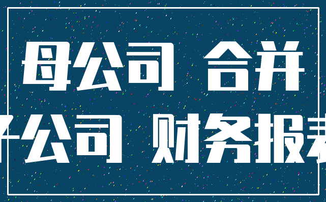 母公司 合并_子公司 财务报表