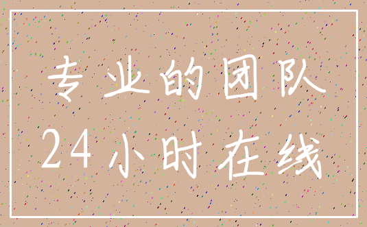 专业的团队_24小时在线