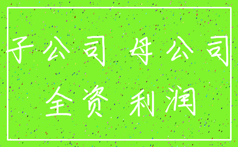 子公司 母公司_全资 利润
