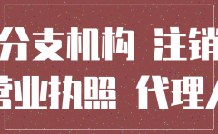 河南省网上注销分公司营业执照流程