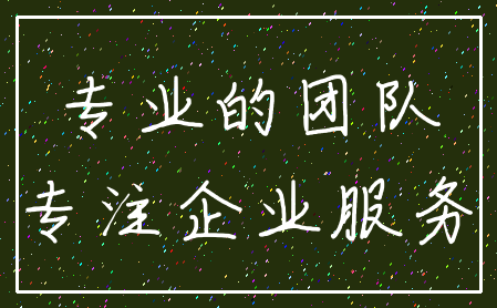专业的团队_专注企业服务