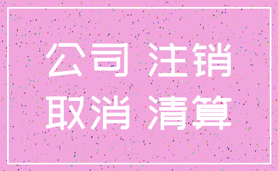 公司 注销_取消 清算