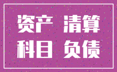 注销公司后公司资产负债表
