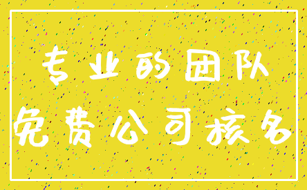 专业的团队_免费公司核名