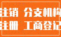 新三板公司 注销子公司流程