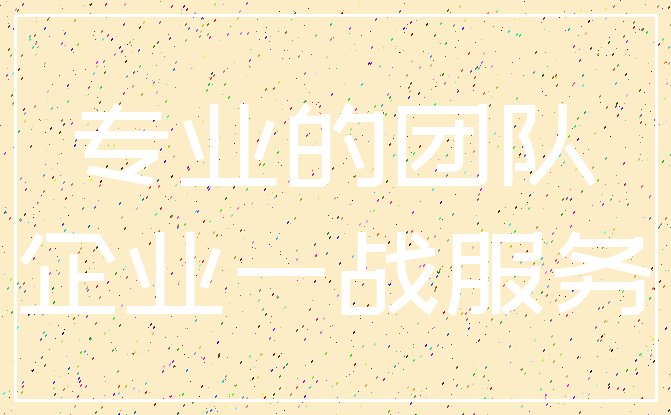 专业的团队_企业一战服务