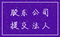 公司执照注销董事