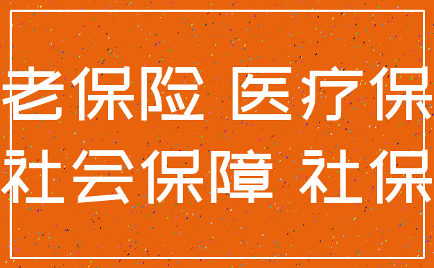 养老保险 医疗保险_社会保障 社保