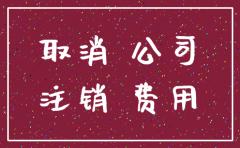 注销公司 查几年账